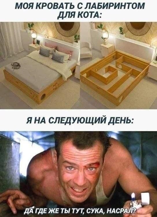 Картинки для деградации 296 (разной степени свежести)