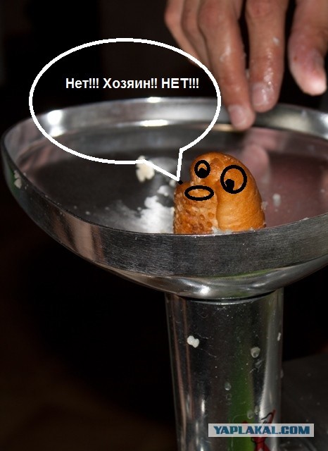 Котлеты из щуки