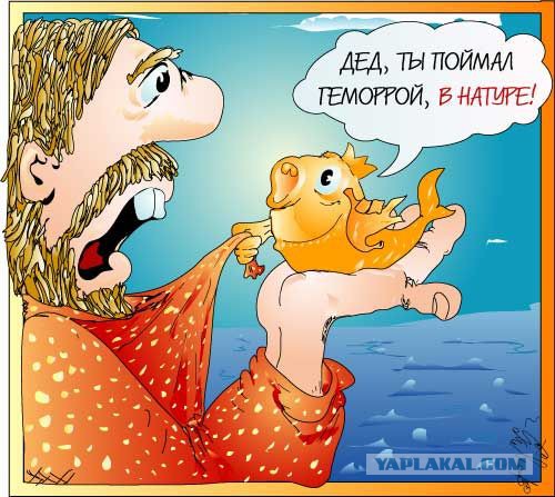 Закинул дед невод в синее море...