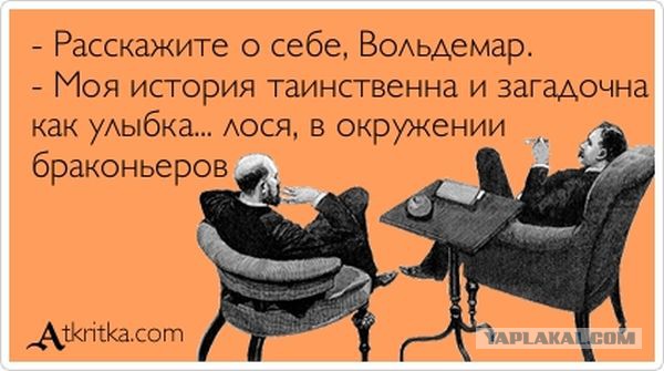 Лучшие  «аткрытки»года