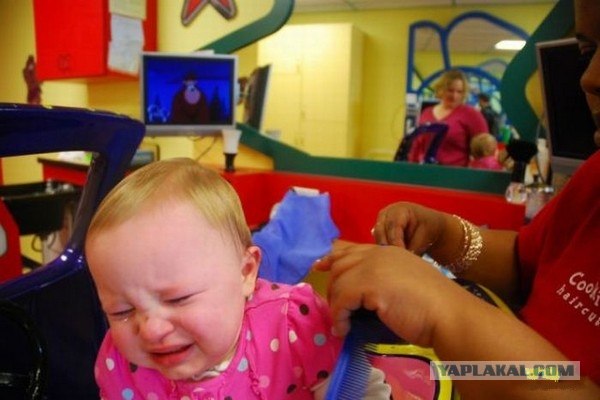 Первая стрижка