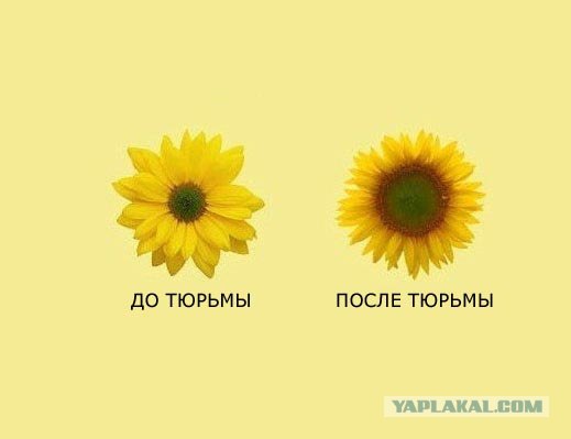 Спиртное vs Наркотики