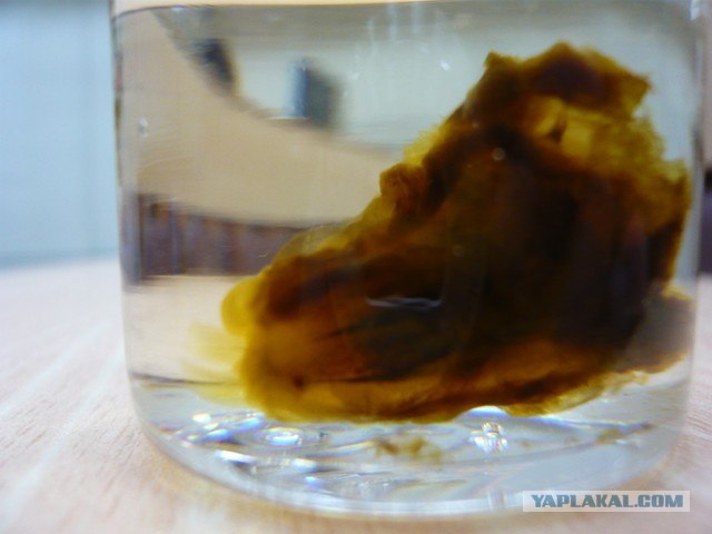 Прозрачные зубы