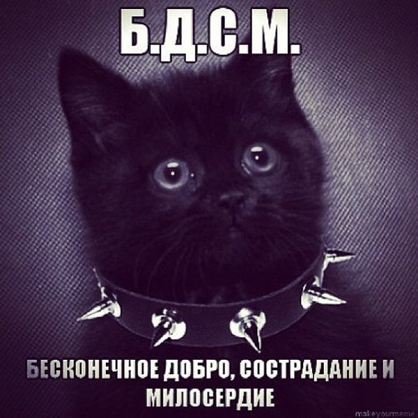 Конкурс Коротких Креативов №12 - Голосование