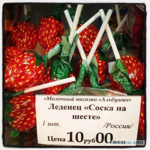 Весёлые картинки
