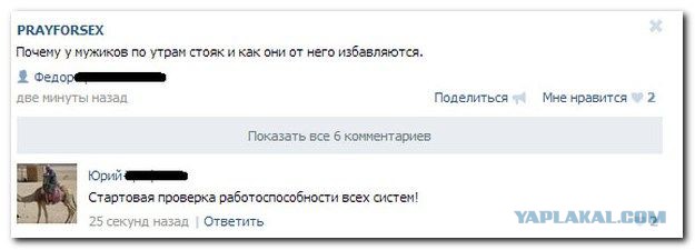 Смешные комментарии из социальных сетей