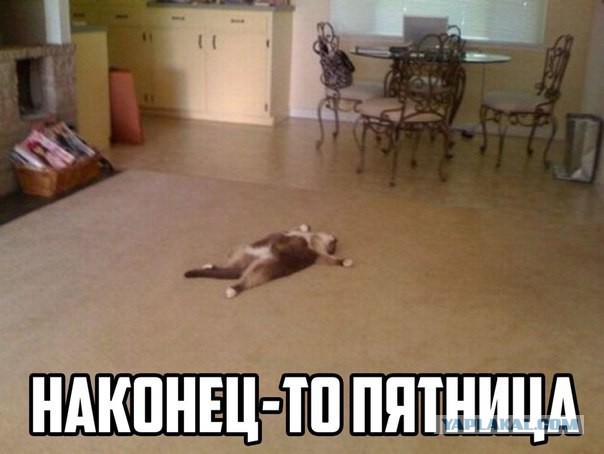 Немного картинок в пятницо.