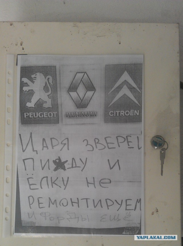 «Назойливый рекламщик» получил в морду