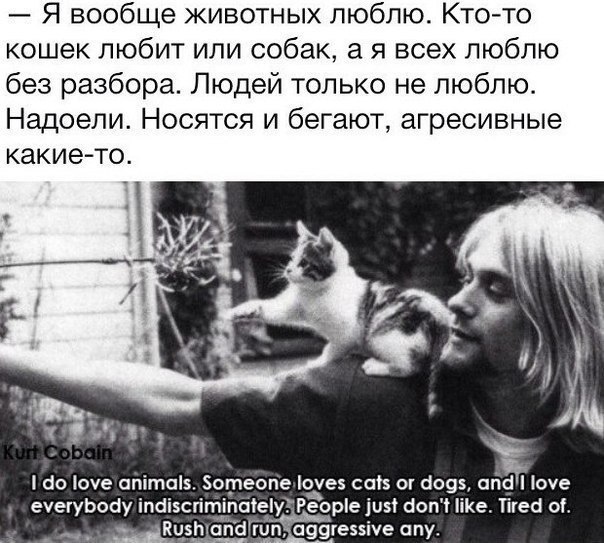 Прикольные картинки из сети