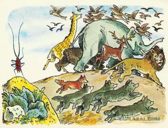 Вот такие таракашки живут в Выхинских подвалах