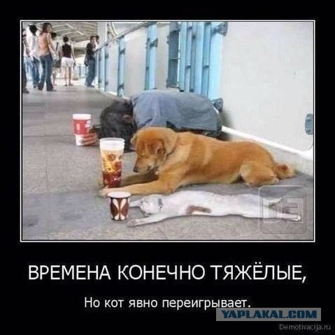 Картинки