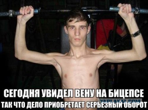 Немного картинок и демотиваторов