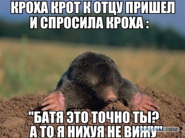 Смешные комментарии 20.12.2015