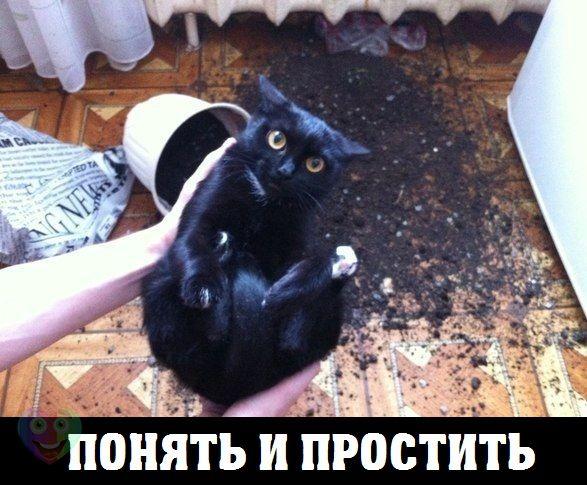 Подборка прикольных картинок