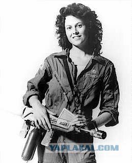 У экс-чиновницы Минобороны изъяли во время обысков