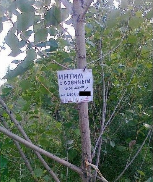Картинки на пятницу