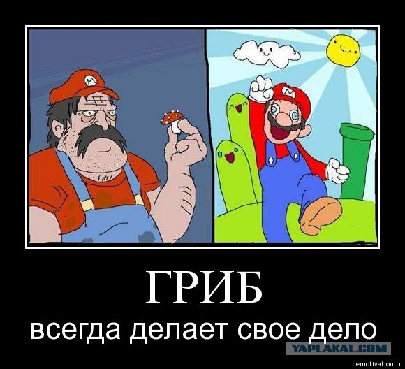 Какое твоё супергеройское имя ?