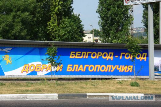 Жестокое избиение мужчины толпой в Белгороде