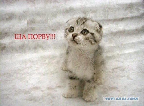 Ишаев: "ждите пи**ы в гости. и даже если вы прячетесь за замочком в социальных сетях"