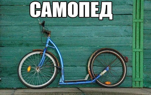 Подборка безудержного веселья
