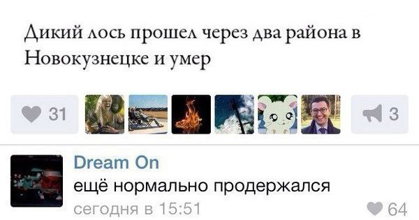Смотрим и деградируем
