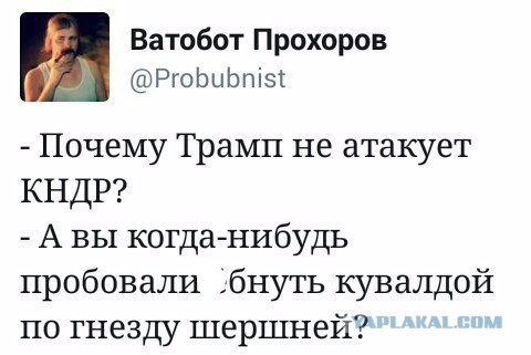 Корейский цугцванг как политическое самоубийство Трампа