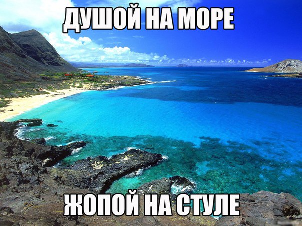 Подборка интересных и веселых картинок