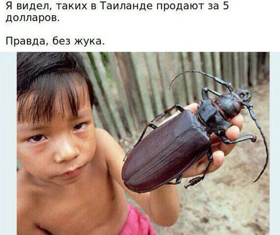Тёмный юмор к началу недели