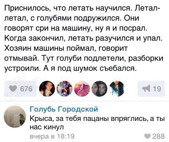 В центре Калининграда произошла массовая драка