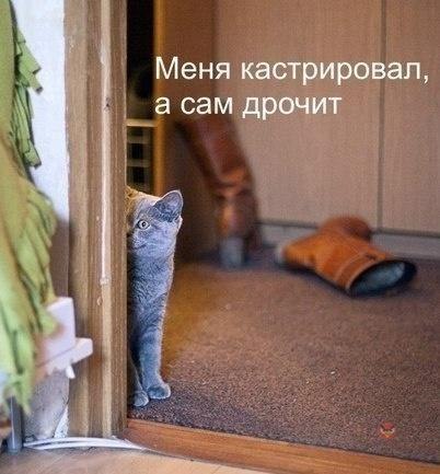 Мизатропируй правильно!