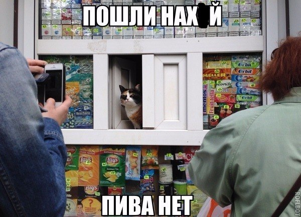 100 картинок для поднятия настроения!