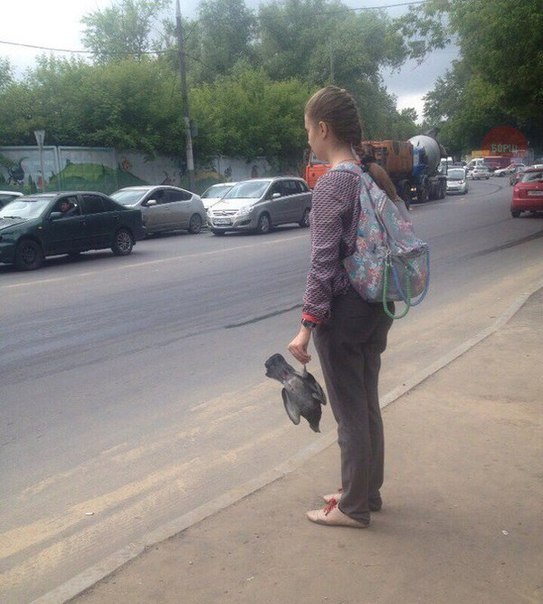 Журнал деградант