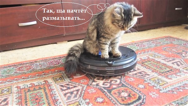 Подборка интересных и веселых картинок