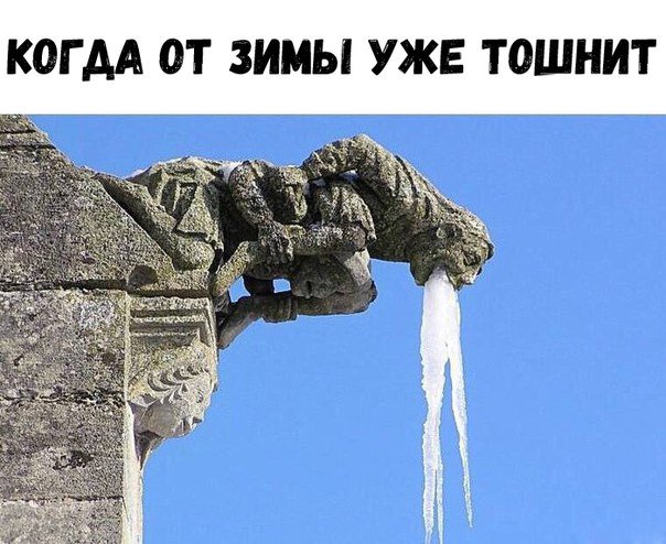 Работа не волк, но картинки сами себя не посмотрят!