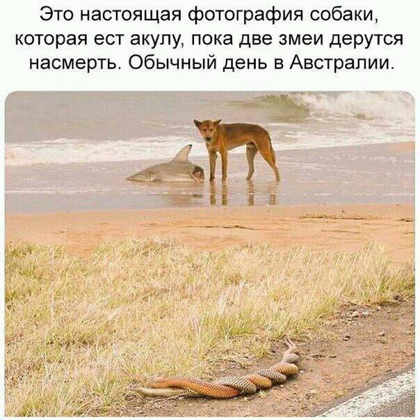 Спасайтесь! Майская деградация наступает на пятки!