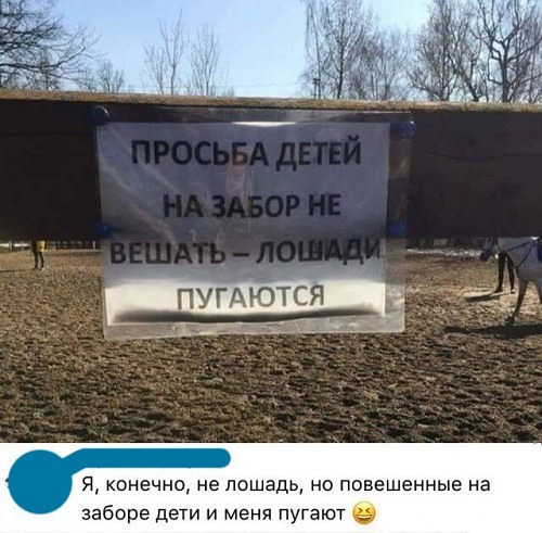 Картинки и Демотиваторы в кучу
