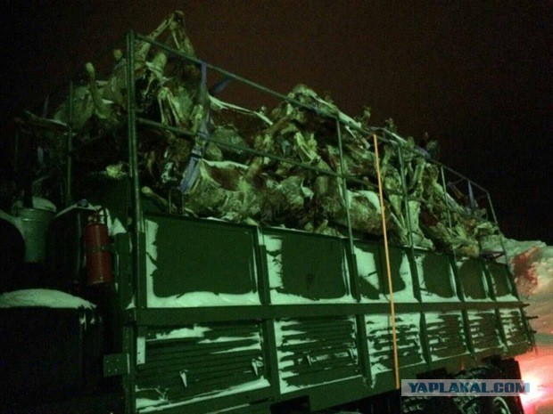 Жители села в Хабаровском крае готовы к вооруженному конфликту с правоохранителями