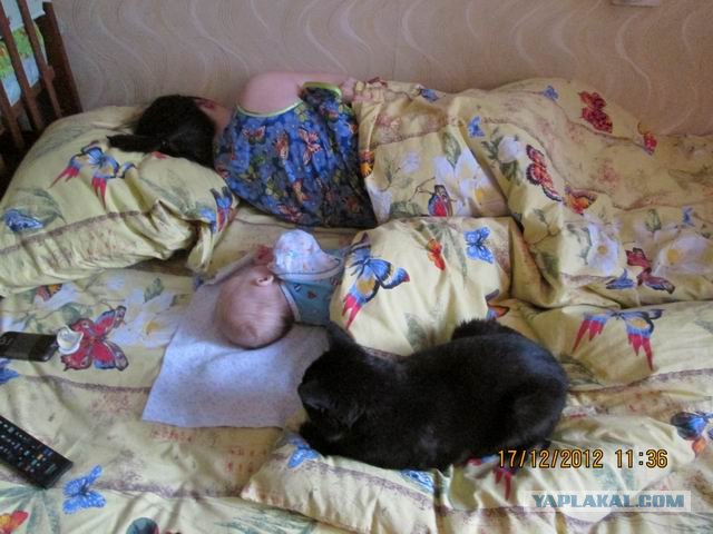 Новогодний Котовторник 01.01.2013