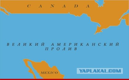100 000 дельфинов покидают США