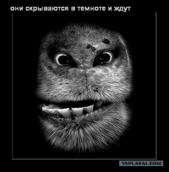 Мы уже прилетели (12 фото)