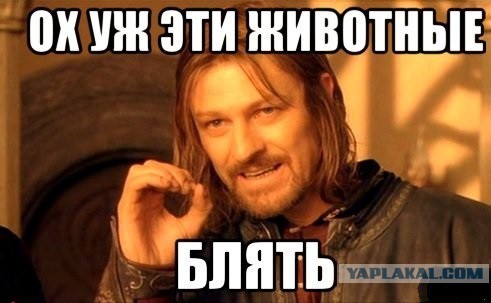 Это вам не инстаграмм (октябрь)
