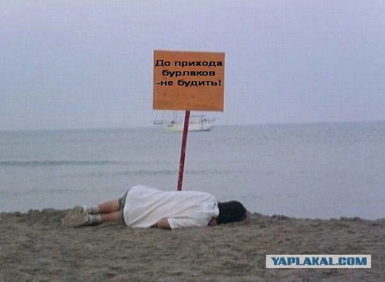 Фотожаба: КРЯ-КРЯ!