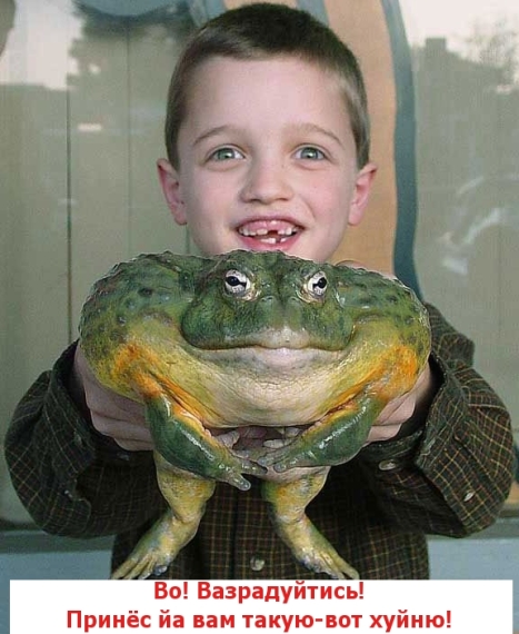 Я несу хуйню