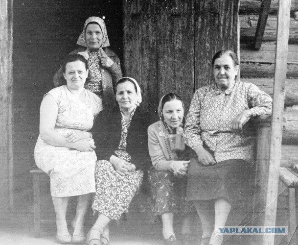 На это способны только бабушки. Картинки про бабушек