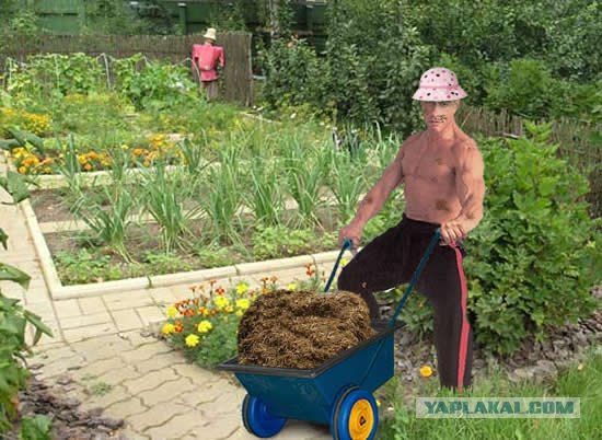 Герои американских блокбастеров (разоблачение)