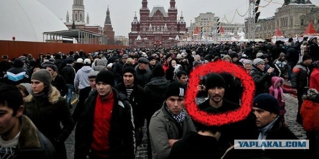Cлавян уже менее половины: какие национальности заселяют сегодняшнуюю Москву?