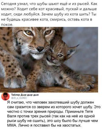 Картинки и мемы для настроения 015