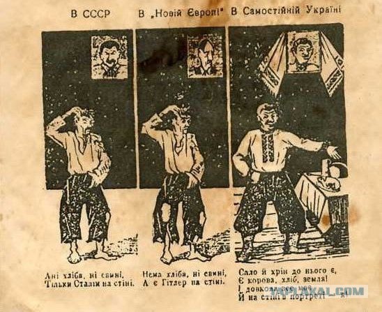 Мова головного мозга