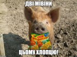 Суд над Навальным. Прямой эфир