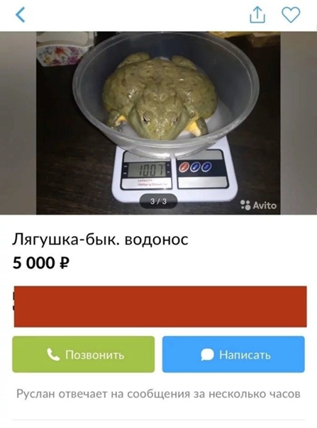 Баянисто-небаянистый юмор 03.02.21